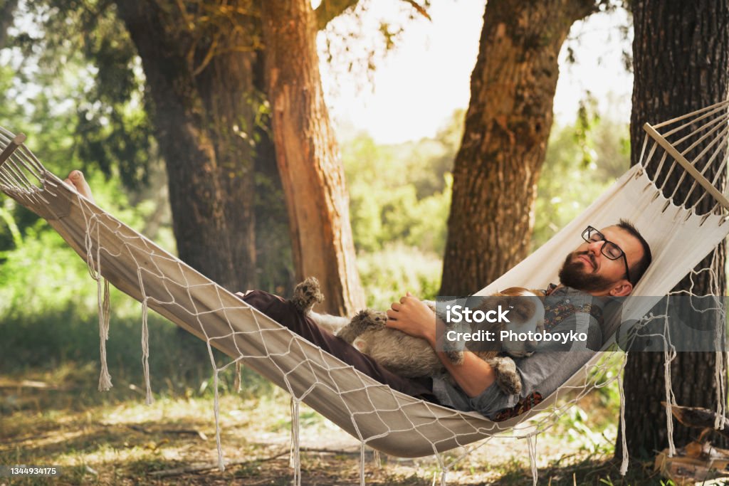 person sleeping with his dog in a hammock in beautiful summer scene
